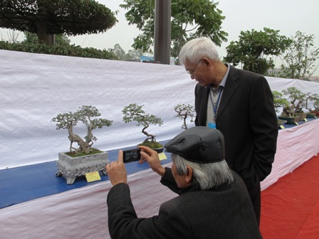 Cận cảnh những c&acirc;y Bonsai "độc" tại Y&ecirc;n Tử 42