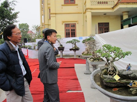 Cận cảnh những c&acirc;y Bonsai "độc" tại Y&ecirc;n Tử 41