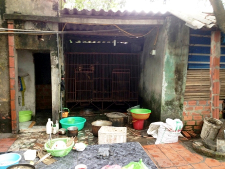 Quảng Ninh: Ch&aacute;u b&eacute; hơn 2 tuổi bị gấu cắn đứt l&igrave;a c&aacute;nh tay 1