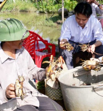 Cua gạch: Đâu thật, đâu giả 1