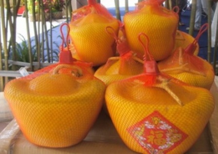 C&acirc;y, quả lạ m&ugrave;a Tết  3