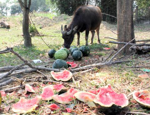 Sốc với tấm ảnh người đ&agrave;n &ocirc;ng bật kh&oacute;c 2