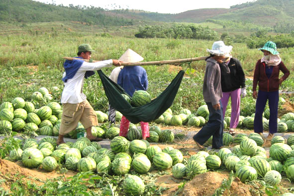 Sốc với tấm ảnh người đ&agrave;n &ocirc;ng bật kh&oacute;c 3