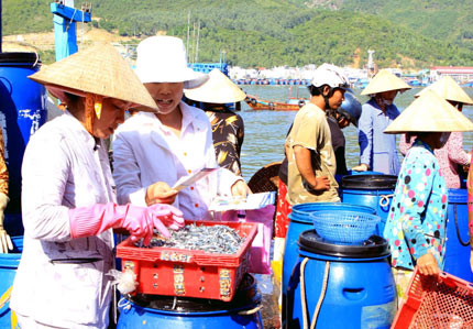 Ninh Thuận: Vì mục tiêu nâng cao chất lượng dân số vùng biển 1