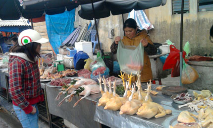 Cả nước thâm canh, tiểu thương thu hoạch 1