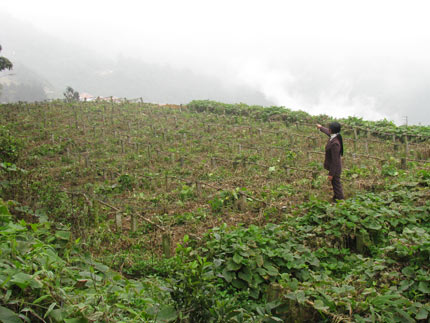 Vụ &ldquo;mượn đất&rdquo; của cụ Ho&agrave;ng Cầm kh&ocirc;ng trả: Cần giải quyết dứt điểm  1