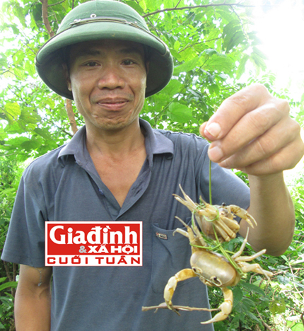 “Cua trinh nữ” độc nhất vô nhị và nỗi hàm oan bị gắn lời đồn ghê rợn  2