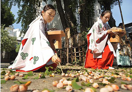 Những công dụng đáng kinh ngạc của loài cây được mệnh danh là “Viagra thiên nhiên” cổ xưa nhất thế giới 2 Những công dụng đáng kinh ngạc của loài cây được mệnh danh là “Viagra thiên nhiên” cổ xưa nhất thế giới 2