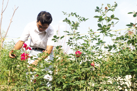 Ông chủ U50 vẫn “phòng không” vì mê hoa 2