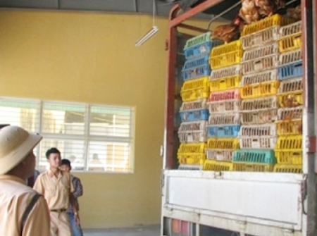 H&agrave; Nội: &ldquo;Tuy&ecirc;n chiến&rdquo; với g&agrave; lậu 1