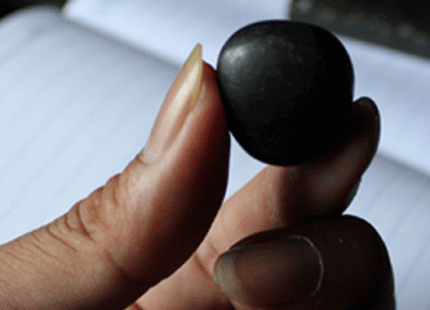 Vi&ecirc;n đ&aacute; kỳ lạ, khắc tinh của rắn độc 1