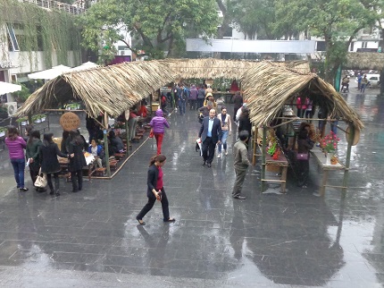 Chợ qu&ecirc; xuất hiện giữa thủ đ&ocirc; 1