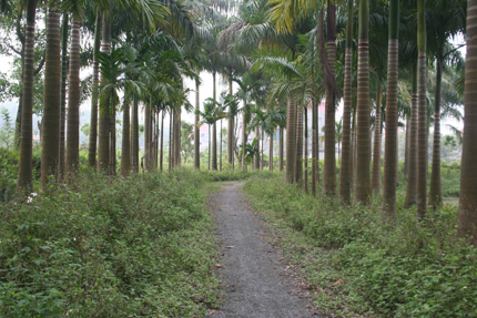 Tận thấy "ng&ocirc;i nh&agrave; ma" ở H&ograve;a B&igrave;nh 1