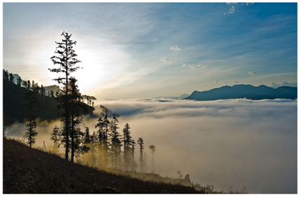 Muốn hương toả xa, cũng cần c&oacute; gi&oacute; 1