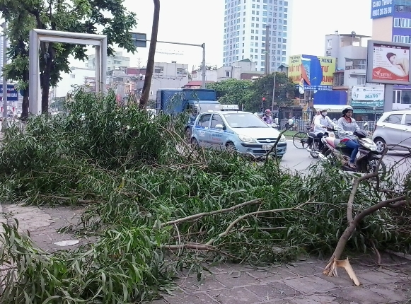 H&agrave; Nội: Một ng&agrave;y sau trận lốc kinh ho&agrave;ng 4