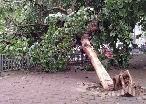 H&agrave; Nội: Một ng&agrave;y sau trận lốc kinh ho&agrave;ng 2