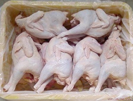 C&aacute;ch n&agrave;o gi&uacute;p tr&aacute;nh mua nhầm g&agrave; thải? 1