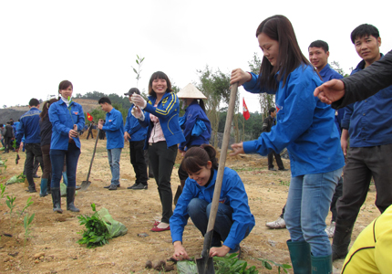 Năm nay, sản xuất 43 triệu tấn than 3