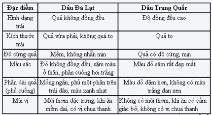 Nhận biết dâu tây Đà Lạt và dâu tây Trung Quốc 2