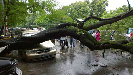 Nghẹn l&ograve;ng c&ugrave;ng th&acirc;n nh&acirc;n 298 sinh mạng vụ m&aacute;y bay bị rơi ở Ukraine 2