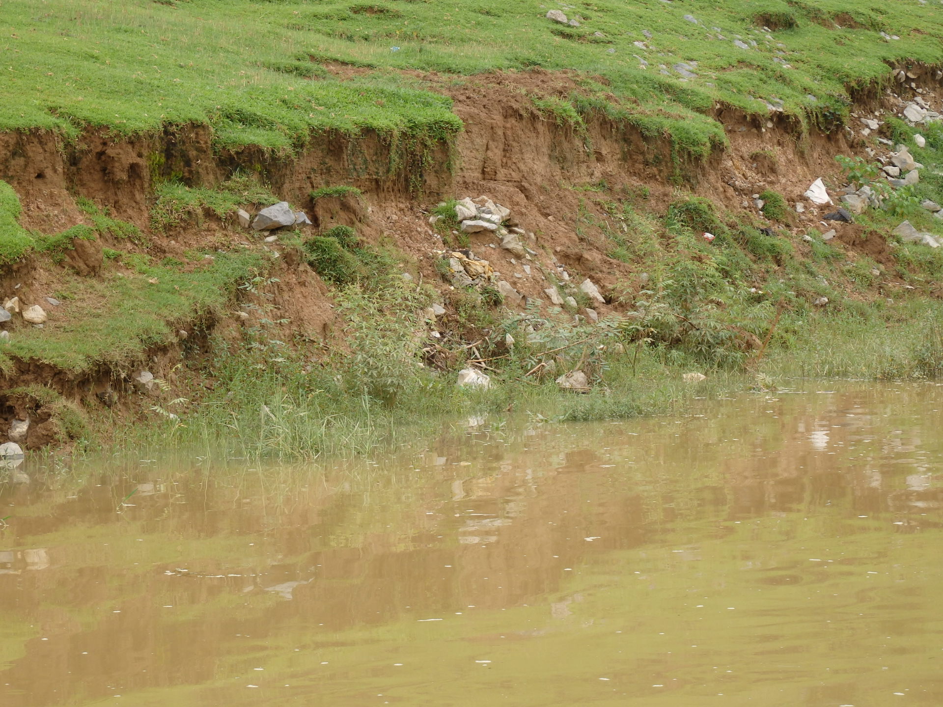 Hàng nghìn người dân lo sợ vì đê sông Chu bị sạt lở trong mùa lũ 1