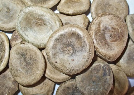 Tử vong do uống nhầm rượu mã tiền 1 Tử vong do uống nhầm rượu mã tiền 1