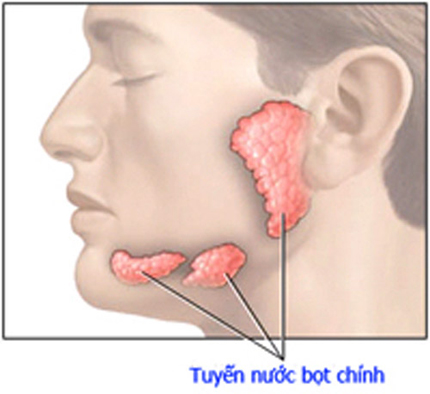 Những người cần đề phòng ung thư tuyến nước bọt 1