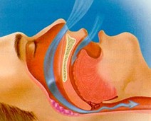 Ngủ ng&aacute;y &ndash; t&aacute;c hại kh&ocirc;n lường 2
