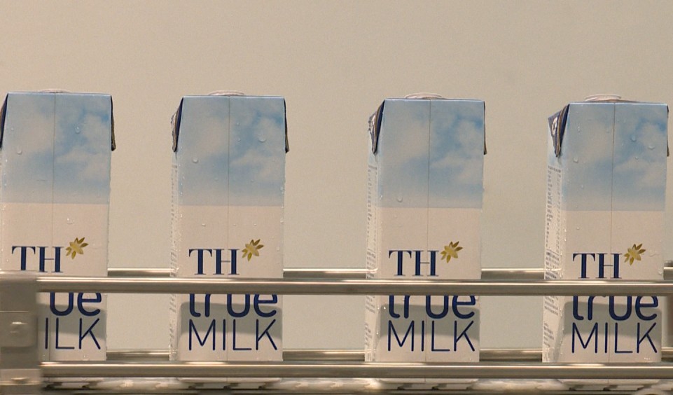 Thị trường hưởng lợi từ cuộc đua sữa tươi 2