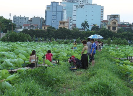 Cơn gi&ocirc;ng chết người tại H&agrave; Nội 1