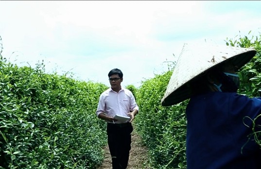 Hướng đi n&agrave;o cho chuẩn h&oacute;a nguồn nguy&ecirc;n liệu dược phẩm Việt Nam 1