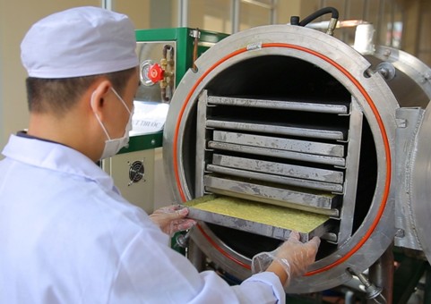 Hướng đi n&agrave;o cho chuẩn h&oacute;a nguồn nguy&ecirc;n liệu dược phẩm Việt Nam 2