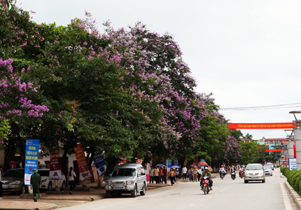Đường  V&otilde; Nguy&ecirc;n Gi&aacute;p rực rỡ trong dịp kỷ niệm 60 năm chiến thắng Điện Bi&ecirc;n 4