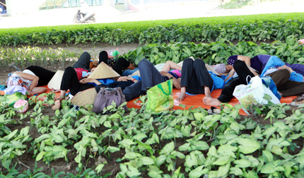 Người H&agrave; Nội tr&aacute;nh n&oacute;ng dưới c&aacute;i nắng 40 độ C 6