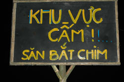 Bi h&agrave;i "điềm l&agrave;nh" bị đồn thổi th&agrave;nh "điềm xấu" 2