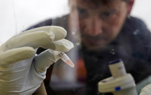 Hình ảnh kinh hoàng về diễn biến dịch Ebola tuần qua 12