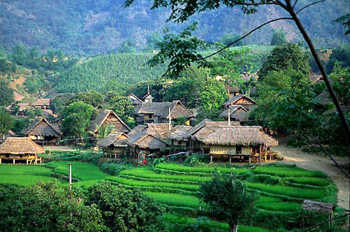 Phong cảnh thung lũng Mai Châu