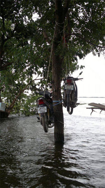 Những phương tiện di chuyển đặc biệt trong lũ Th&aacute;i Lan 4