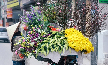 Lung linh H&agrave; Nội m&ugrave;a Tết đến 3