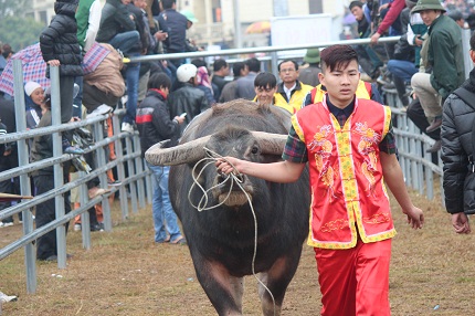 H&agrave;ng vạn người đổ về Ph&uacute;c Thọ xem c&aacute;c "&ocirc;ng tr&acirc;u" quyết sinh tử 6