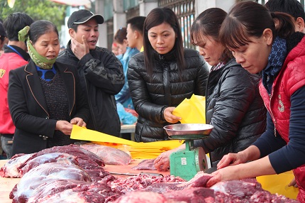 H&agrave;ng vạn người đổ về Ph&uacute;c Thọ xem c&aacute;c "&ocirc;ng tr&acirc;u" quyết sinh tử 10