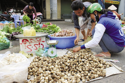 Thị trường nấm “chết” trong đau đớn 1