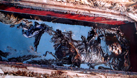 Gỗ Ngọc Am gi&aacute; "khủng" c&oacute; độc t&iacute;nh? 6