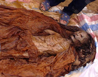 Gỗ Ngọc Am gi&aacute; "khủng" c&oacute; độc t&iacute;nh? 5