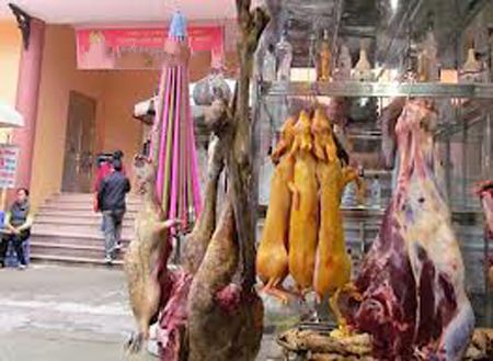 Kiếm bộn nhờ &ldquo;chi&ecirc;u&rdquo; biến th&uacute; nu&ocirc;i th&agrave;nh th&uacute; rừng 1