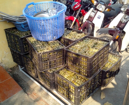 B&aacute;nh chưng Tết: Nh&agrave; sản xuất sẵn s&agrave;ng cho quay phim để gi&aacute;m s&aacute;t chất lượng 1