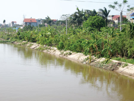 Tự tử v&igrave; t&igrave;nh? 1