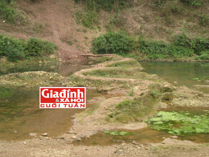 B&iacute; ẩn d&ograve;ng họ nu&ocirc;i &ldquo;rồng&rdquo; 1