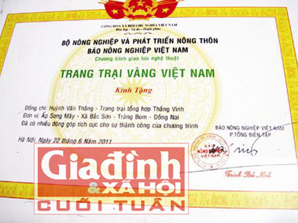 Chiến sĩ t&igrave;nh b&aacute;o giả g&aacute;i v&agrave; h&agrave;nh tr&igrave;nh kh&oacute; khăn trở lại l&agrave;m đ&agrave;n &ocirc;ng 2