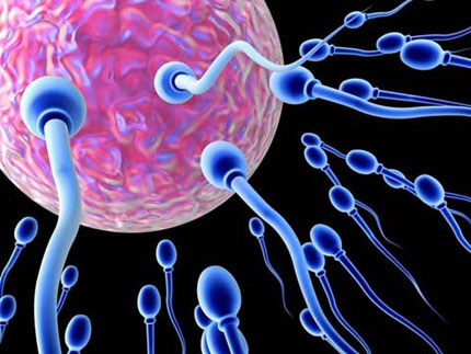 B&iacute; quyết nu&ocirc;i dưỡng &ldquo;tinh binh&rdquo; khỏe mạnh cho qu&yacute; &ocirc;ng tuổi xế chiều 2